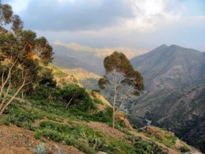 Rejser til Eritrea
