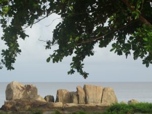 Rejser til Fransk Guyana
