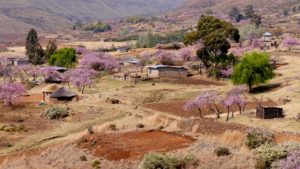 Rejser til Lesotho