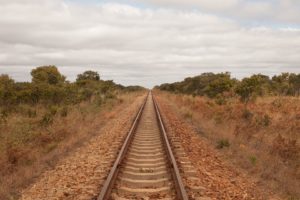 Rejser til Hwange National Park