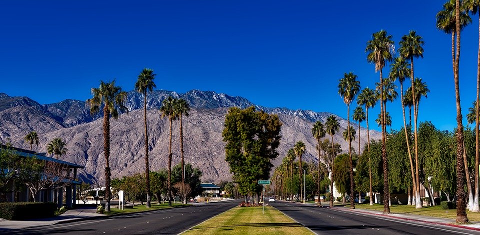 Rejser til Palm Springs