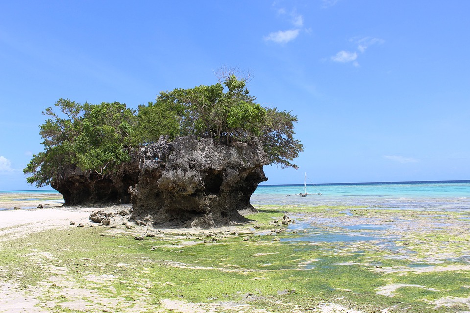 Rejser til Pemba Island