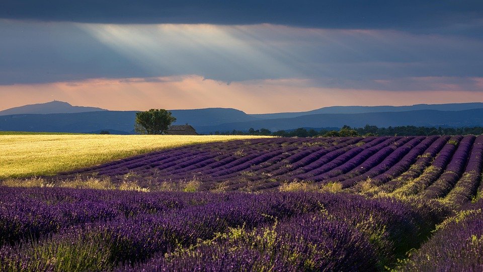 Rejser til Provence