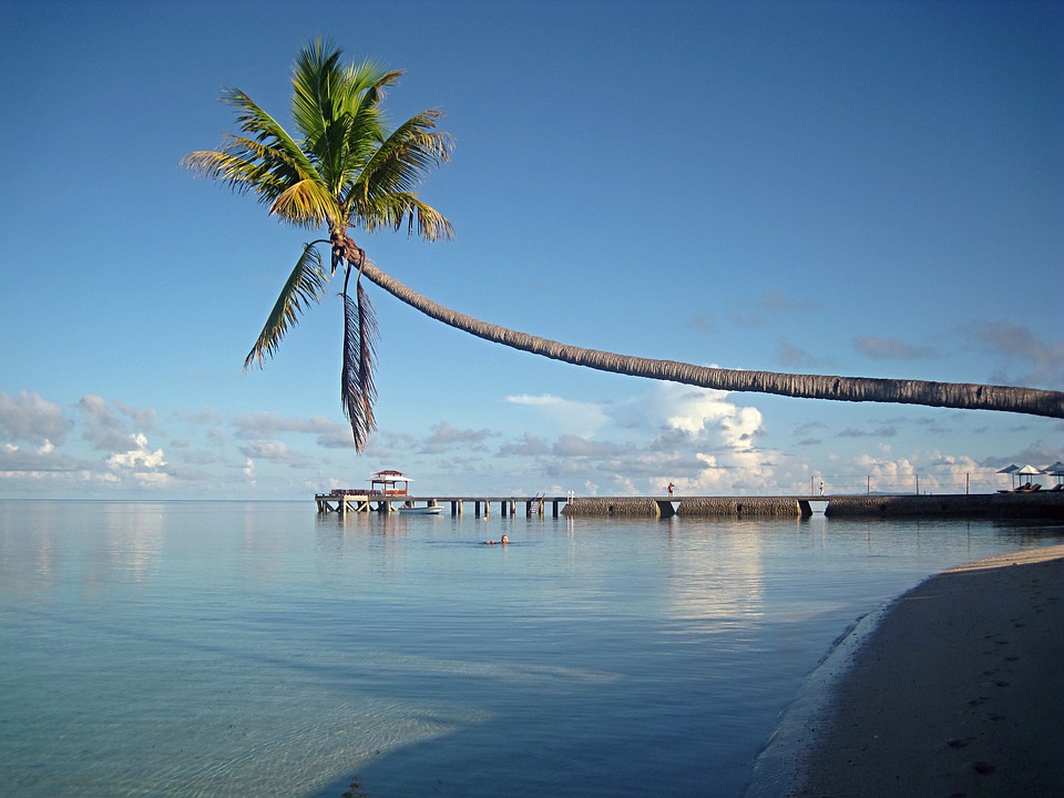 Rejser til Sulawesi