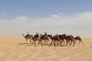Rejser til Tchad